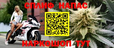 тгк Гусь-Хрустальный