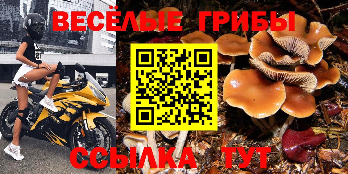 Магнитогорск  где можно купить   Вход с VPN  Галлюциногенные грибы прущие грибы 